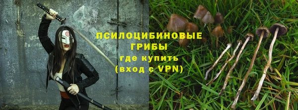 прущая мука Алзамай