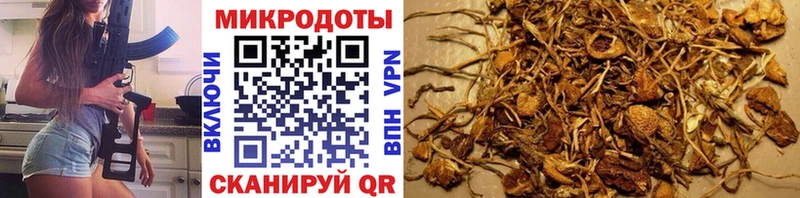 наркотики  Валдай  Псилоцибиновые грибы Cubensis 